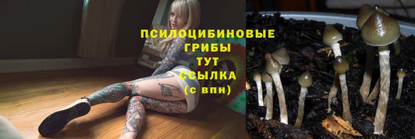 гашик Бронницы