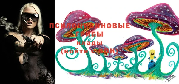 гашик Бронницы