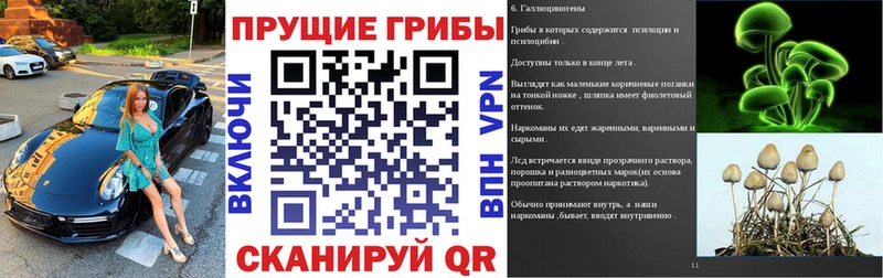 мориарти телеграм  Дубна  Галлюциногенные грибы Psilocybe  магазин   